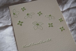 dogwood sneakpeek1
