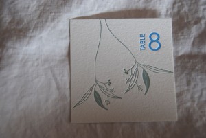 eucalyptus sneakpeek1