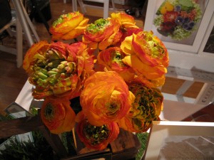 img 0229