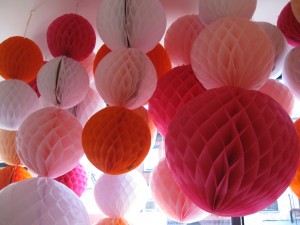 IMG 5677