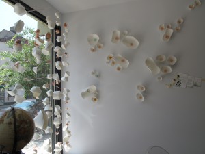 img 0827