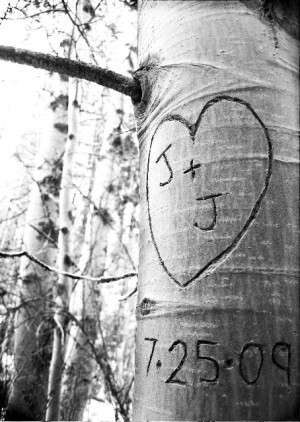 tree carving