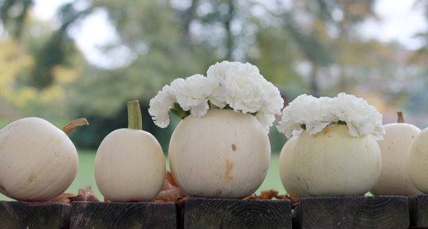 DIY: How to make white pumpkin centerpieces