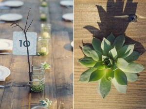 succulent centerpieces and table numbers