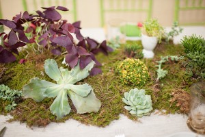 moss runner with succulents