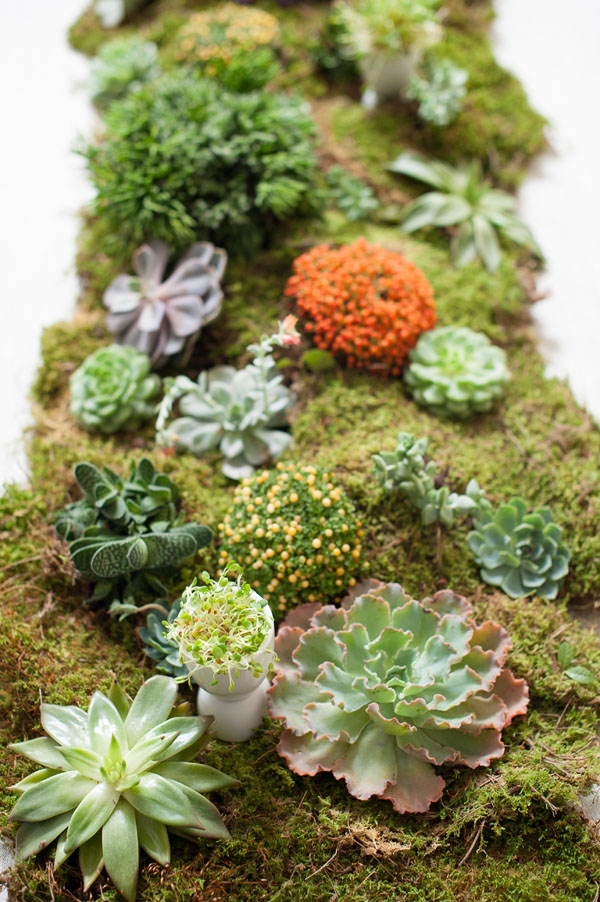 moss runner with succulents