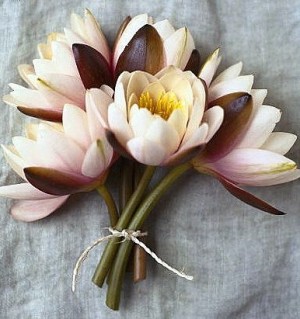 water lily bouquet