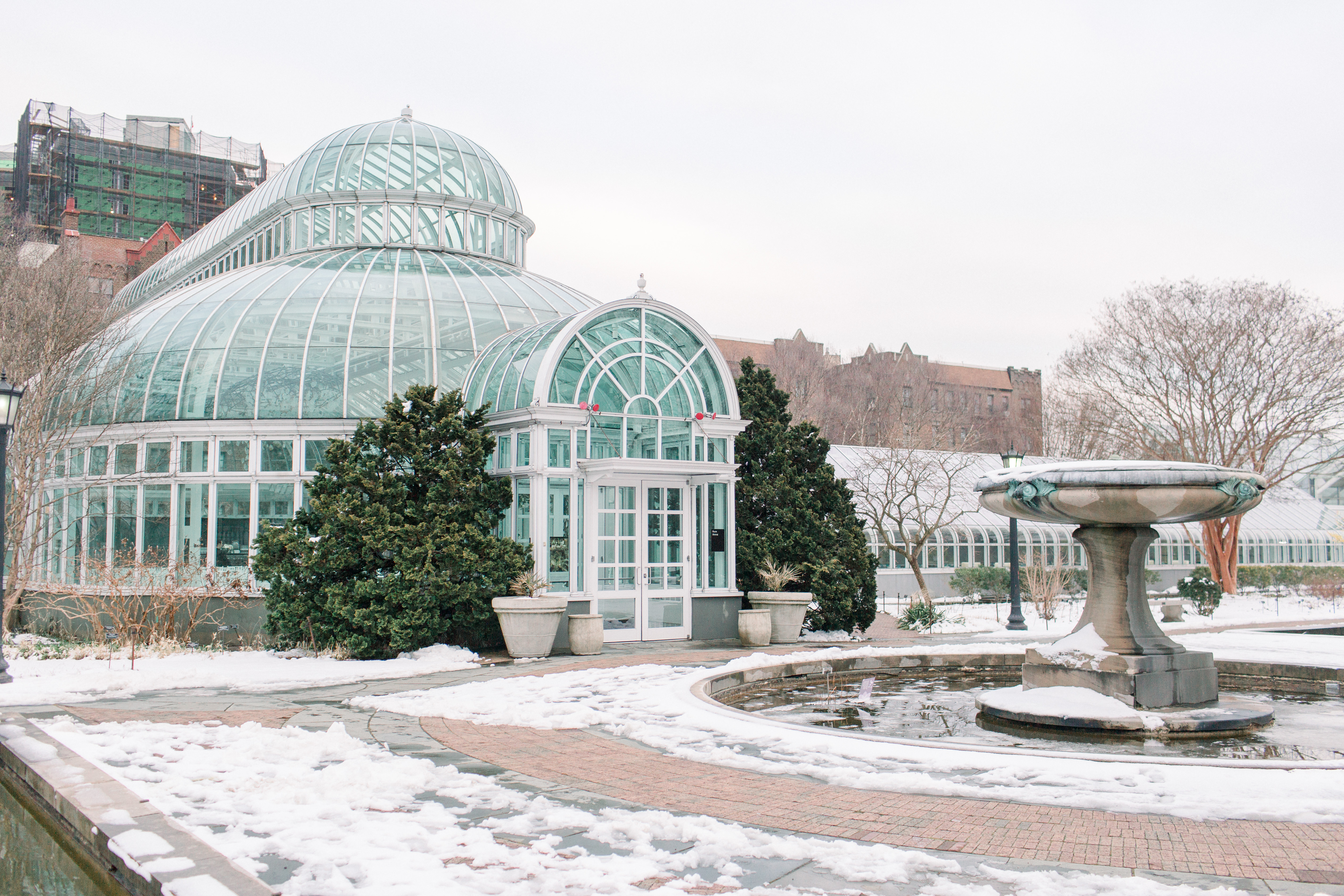 Winter Wedding at Brooklyn Botanic Garden